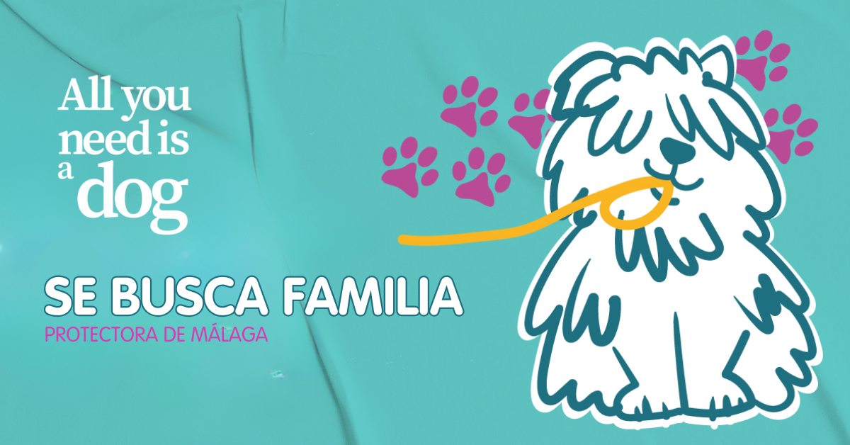 Se busca familia